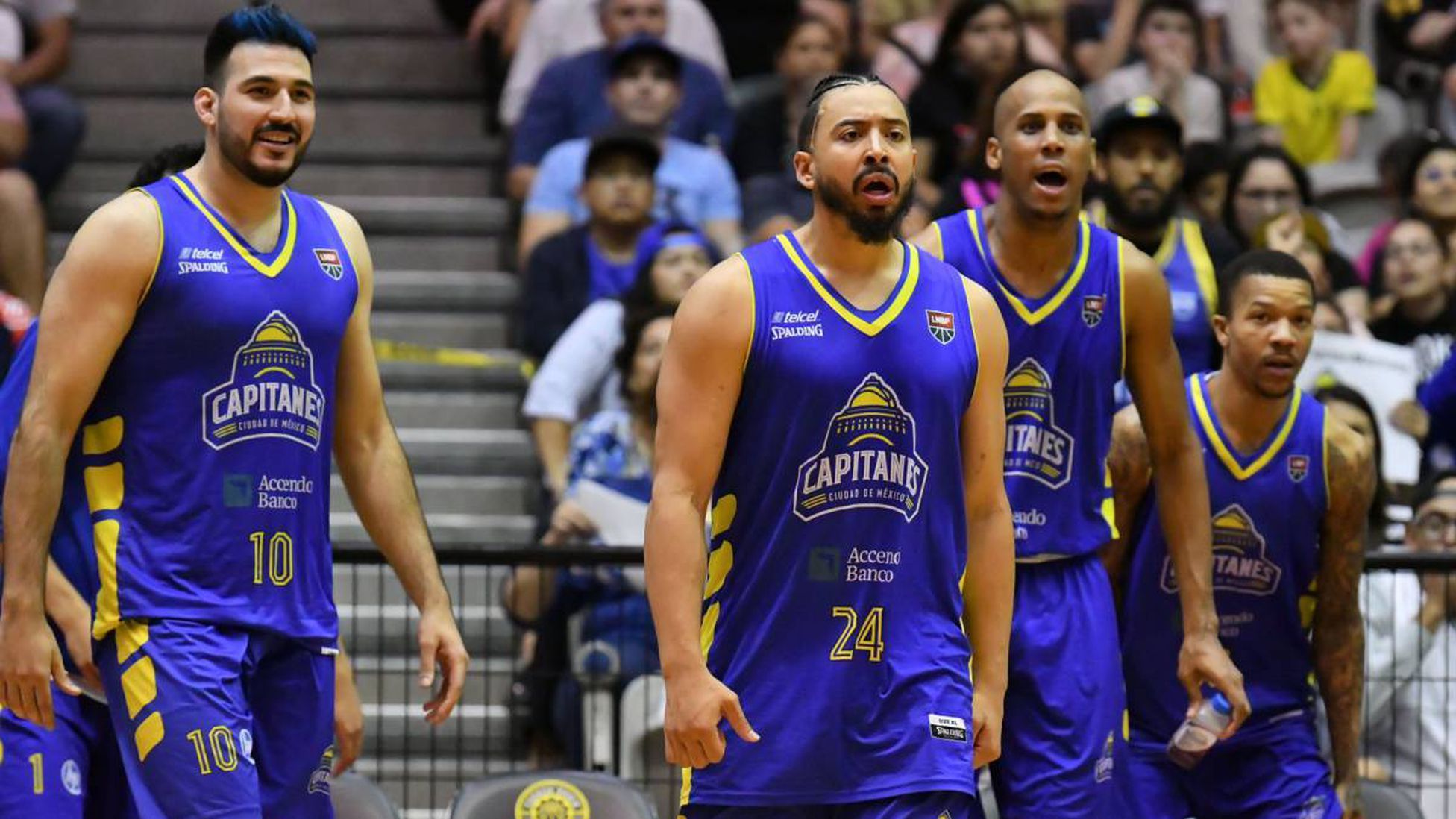 Capitanes CDMX en Arena CDMX: así se vive con Stadibox