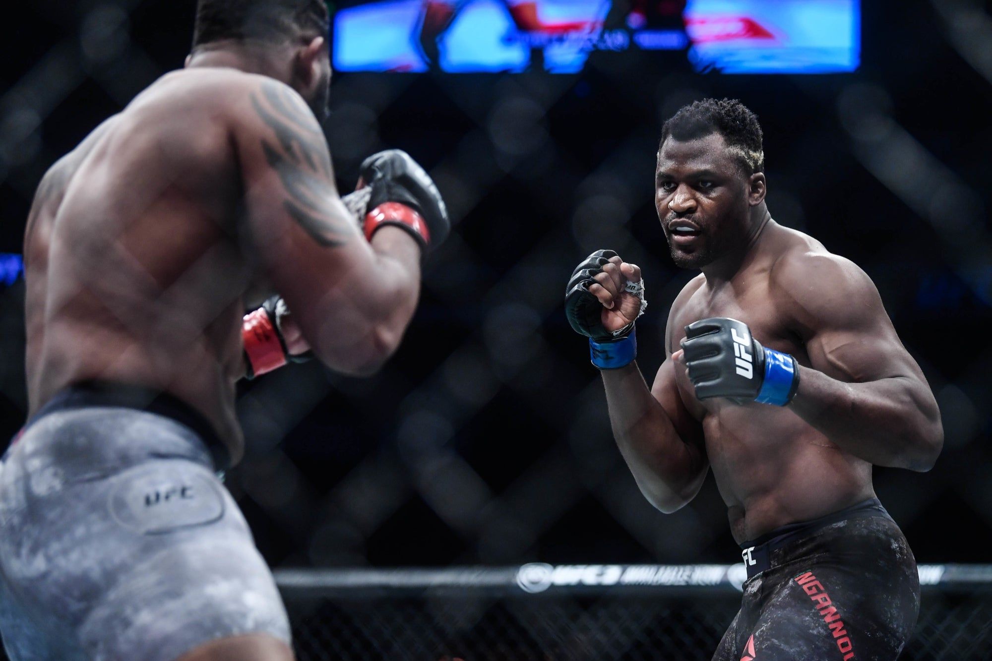 La adrenalina de la UFC en Arena CDMX se vive con Stadibox