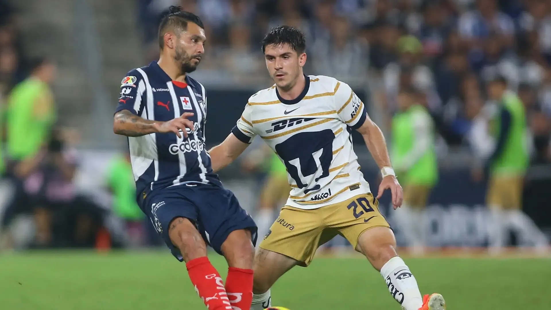 Jornada 9 Liga MX: vive cada partido con Stadibox