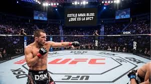 UFC en Arena CDMX: así se vive la pelea con Stadibox